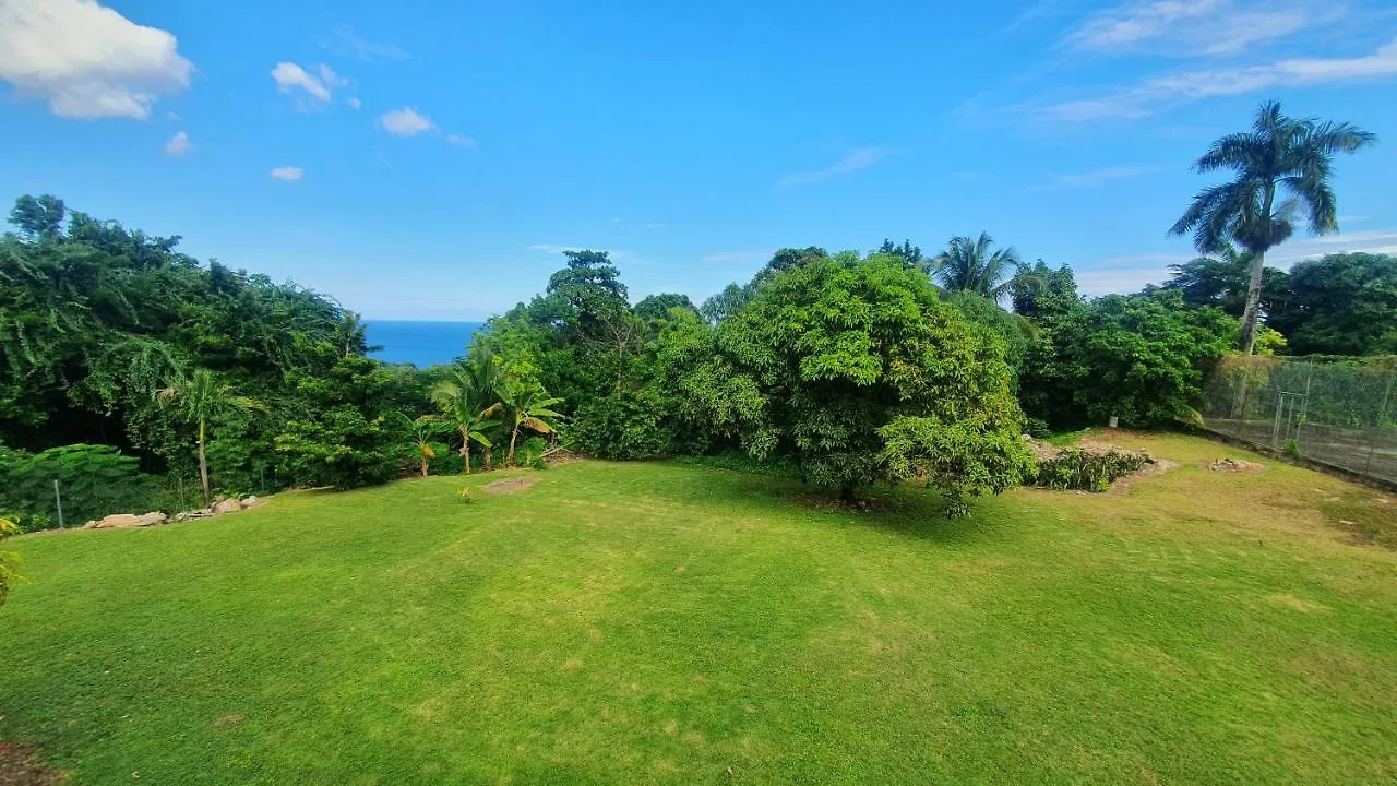 Villa Dianna - Entire Villa, Roof Terrace, Pool, Garden, Sea Views Near Dunn'S River Ocho Rios